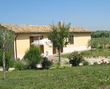 Quercia