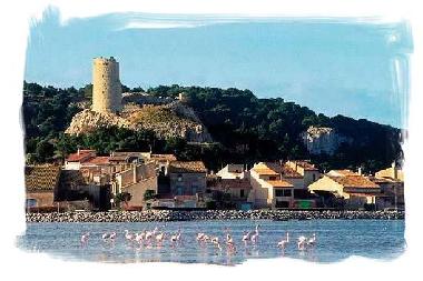 Ferienhaus in Gruissan (Aude) oder Ferienwohnung oder Ferienhaus