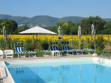 Am Pool