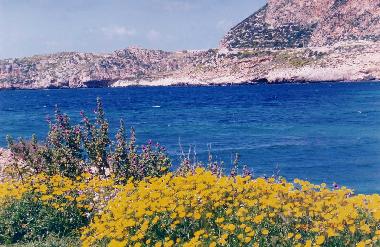 Ferienhaus in favignana isle (Trapani) oder Ferienwohnung oder Ferienhaus