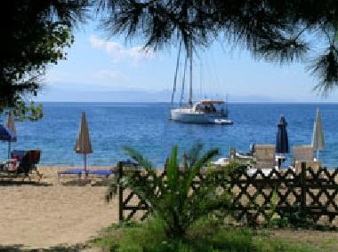 Ferienwohnung in skiathos (Magnisia) oder Ferienwohnung oder Ferienhaus