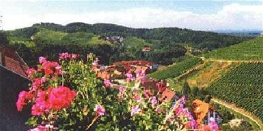 Blick vom Balkon �ber Weinberge/ Rheintal/ Stra�burg/ Vogesen