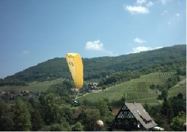 Gleitschirmflieger im Landeanflug in Sasbachwalden