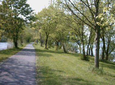 Werratal-Radweg zwischen Werra,  Liegewiese und Werratalsee