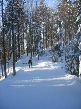 Sommer und Winterurlaub m�glich