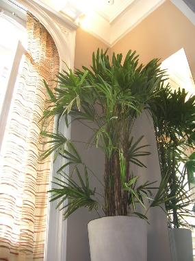 Ferienwohnung in Recoleta (Buenos Aires) oder Ferienwohnung oder Ferienhaus