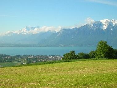 Alentours - Umgebung - Environment