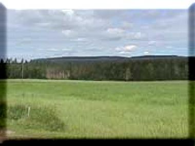 Ferienhaus in Bjur�ker (H�lsingland) oder Ferienwohnung oder Ferienhaus