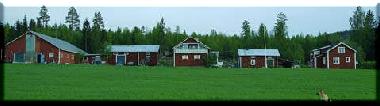 Ferienhaus in Bjur�ker (H�lsingland) oder Ferienwohnung oder Ferienhaus