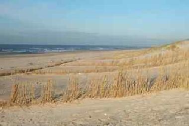 Ferienhaus in Julianadorp aan zee (Noord-Holland) oder Ferienwohnung oder Ferienhaus