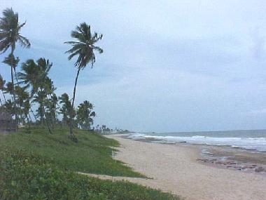 Nahegelegener Strand Arembepe mit Schildkr�tenprojekt TAMAR