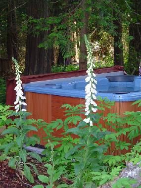 Ferienhaus in Sechelt (British Columbia) oder Ferienwohnung oder Ferienhaus