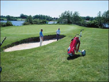 Royal-Oak Golf