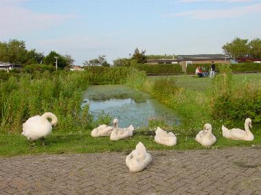 Park De Blenck