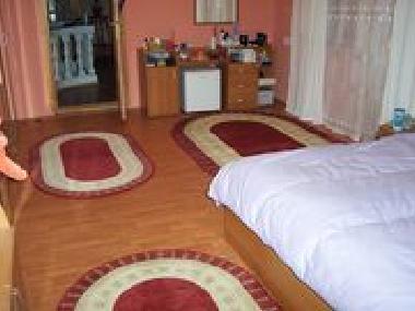Pension in Pitesti (Arges) oder Ferienwohnung oder Ferienhaus