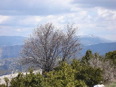 Wanderung im Fr�hjahr im Luberon