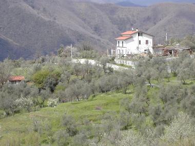 Ferienhaus in Caprigliola (Massa-Carrara) oder Ferienwohnung oder Ferienhaus