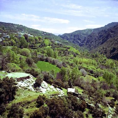 Ferienhaus in Pitres (Granada) oder Ferienwohnung oder Ferienhaus