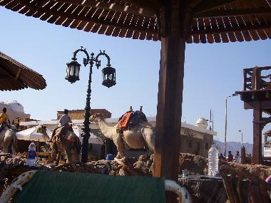 Ferienwohnung in Dahab (Janub Sina') oder Ferienwohnung oder Ferienhaus