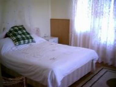Ferienhaus in Bradu (Pitesti) (Arges) oder Ferienwohnung oder Ferienhaus