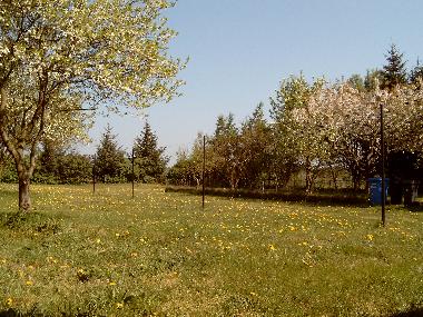 Garten zum Parken und Spielen