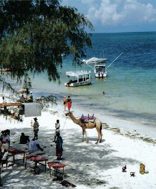 Ferienhaus in DIANI BEACH UKUNDA (Coast) oder Ferienwohnung oder Ferienhaus