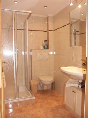 Ferienwohnung in Zell am Ziller (Tiroler Unterland) oder Ferienwohnung oder Ferienhaus
