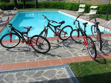 Ferienhaus in pratovecchio (Arezzo) oder Ferienwohnung oder Ferienhaus