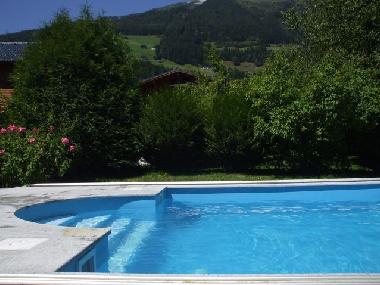 Ferienhaus in Wald im Pinzgau (Pinzgau-Pongau) oder Ferienwohnung oder Ferienhaus