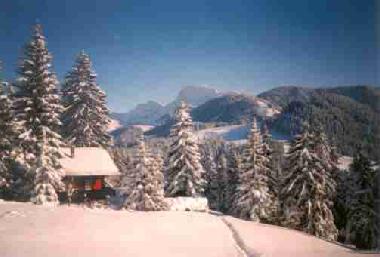 Chalet in Les Paccots (Montreux-Vevey) oder Ferienwohnung oder Ferienhaus