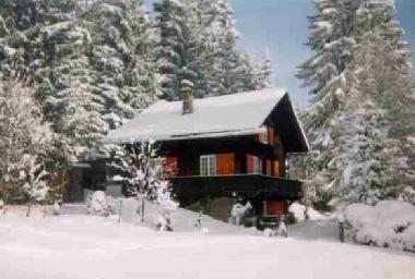 Chalet in Les Paccots (Montreux-Vevey) oder Ferienwohnung oder Ferienhaus