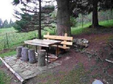 Chalet in Les Paccots (Montreux-Vevey) oder Ferienwohnung oder Ferienhaus