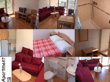 Apartment 1B