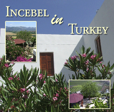 Ferienhaus in Dalaman (Mugla) oder Ferienwohnung oder Ferienhaus