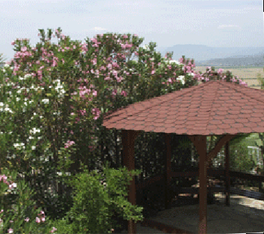 Ferienhaus in Dalaman (Mugla) oder Ferienwohnung oder Ferienhaus