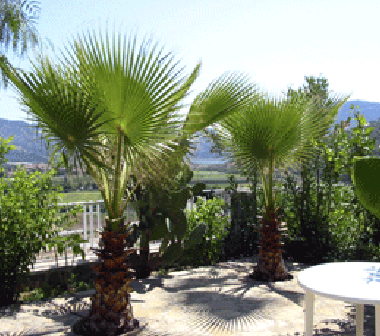 Ferienhaus in Dalaman (Mugla) oder Ferienwohnung oder Ferienhaus