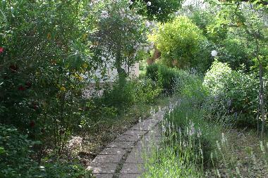 Garten, Palmier, lavanda, Zitronen und Orangenbaumer, Blumen....