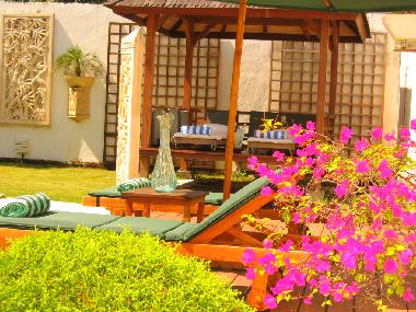 deck +cabana