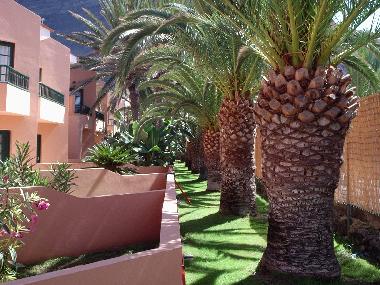 Ferienwohnung in Valle Gran Rey (La Gomera) oder Ferienwohnung oder Ferienhaus