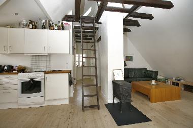 Ferienwohnung in Vanl�se Copenhagen (Kobenhavn) oder Ferienwohnung oder Ferienhaus