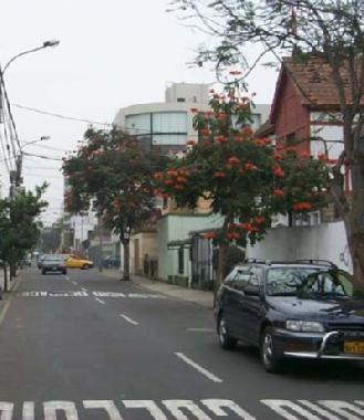 Ferienwohnung in Miraflores (Lima) oder Ferienwohnung oder Ferienhaus