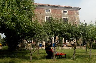 Ferienwohnung in Izola (Izola) oder Ferienwohnung oder Ferienhaus