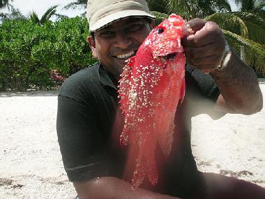 Fishing on the coral reefs