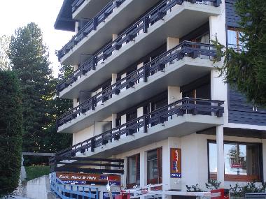 Ferienwohnung in Nendaz (Nendaz) oder Ferienwohnung oder Ferienhaus