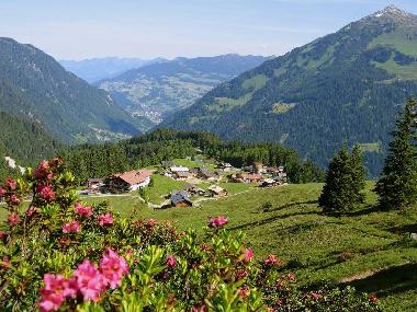 Ferienhaus in Sankt Gallenkirch (Bludenz-Bregenzer Wald) oder Ferienwohnung oder Ferienhaus