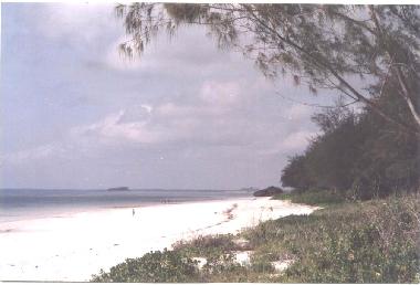 Ferienhaus in watamu (Coast) oder Ferienwohnung oder Ferienhaus