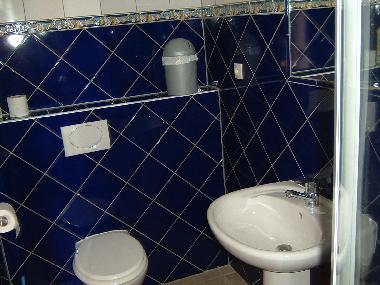 Bad mit Dusche,Waschbecken und WC