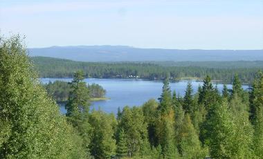 Der See Nissngen liegt mitten im Wald in freier Natur.