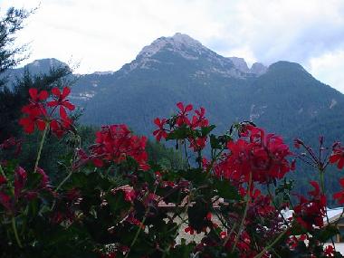 Chalet in Domegge di Cadore (Belluno) oder Ferienwohnung oder Ferienhaus