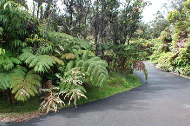 Ferienhaus in Volcano Village (Hawaii) oder Ferienwohnung oder Ferienhaus